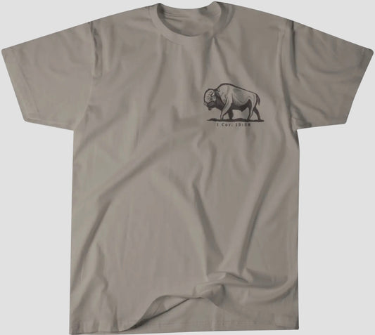 Be Strong and Steadfast … T-Shirt