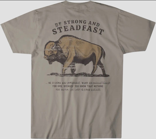 Be Strong and Steadfast … T-Shirt